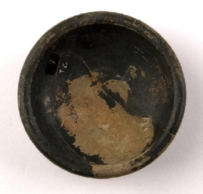 Marian Venceslá Delgado (CERES)